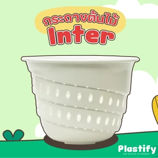 Plastify 🌿 กระถางเร่งราก Inter 🌿 (อินเตอร์เพาะชำ) ขนาด 10" 12" 15" มีให้เลือก 5 สี