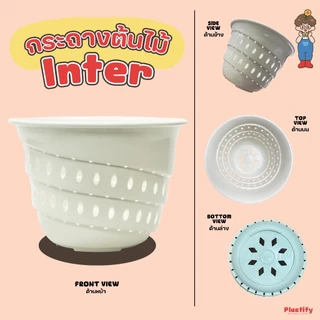 Plastify 🌿 กระถางเร่งราก Inter 🌿 (อินเตอร์เพาะชำ) ขนาด 10" 12" 15" มีให้เลือก 5 สี