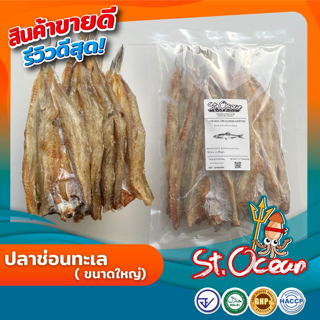ปลาแห้ง ปลาช่อนทะลแห้ง คุณภาพส่งออก มาตรฐาน อ.ย. Halal GMP HACCP