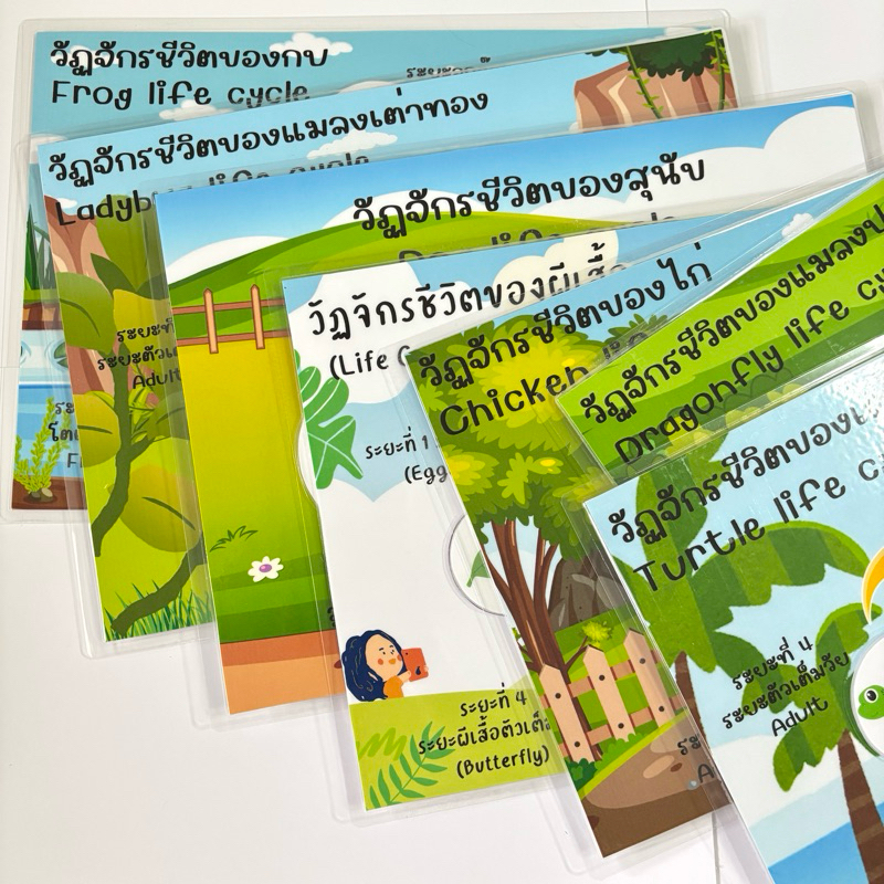 “วัฏจักรชีวิตสัตว์“สื่อการสอนวิทยาศาสตร์