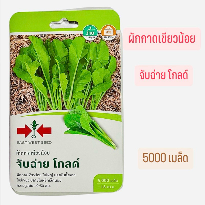 ศรแดง ผักกาดเขียวน้อย จับฉ่าย โกลด์ (5000 เมล็ด)