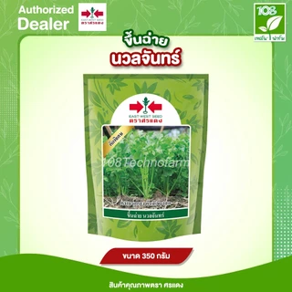 เมล็ดพันธุ์ ขึ้นฉ่าย นวลจันทร์ ตราศรแดง ขนาด 50/350 กรัม