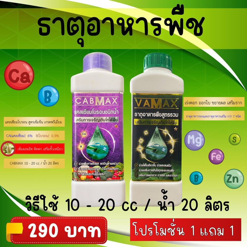 VAMAX+CABMAX ซื้อ 1 แถม 1 ธาตุอาหารรวม + แคลเซียมโบรอน ตอบโจทย์ทุกปัญหาของพืชคุณในชุดเดียว!