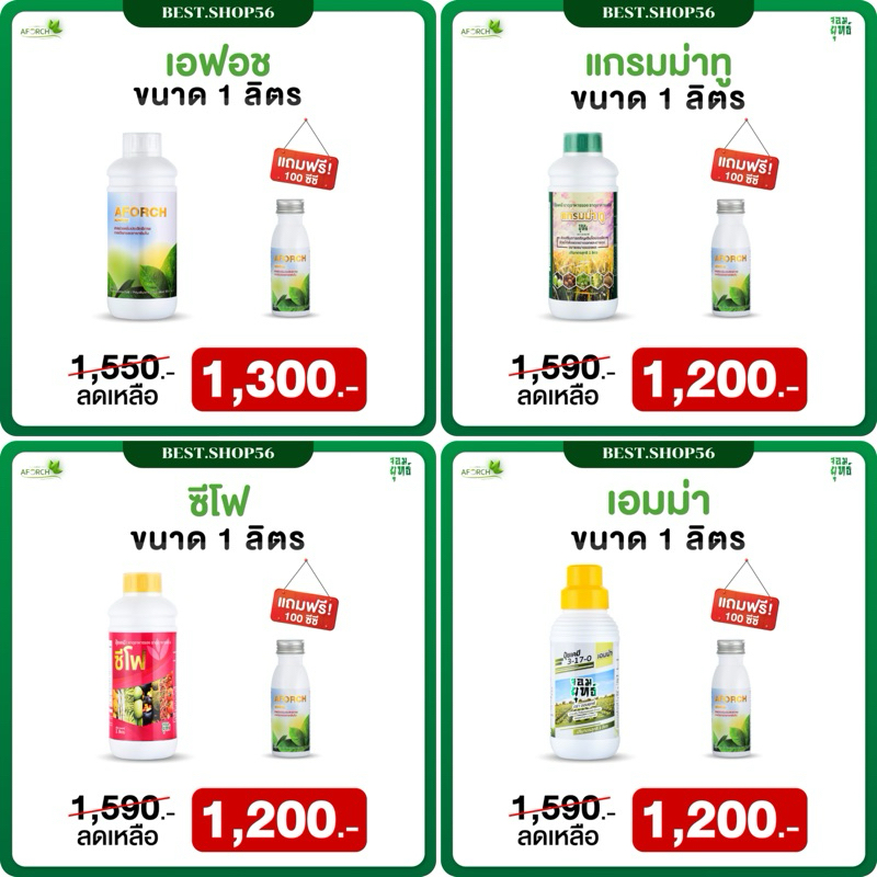 [1ลิตรแถม100cc ส่งฟรีปลายทาง] ของแท้100% เอฟอช/แกรมม่าทู/ซีโฟ/เอมม่า เลือกสูตรได้