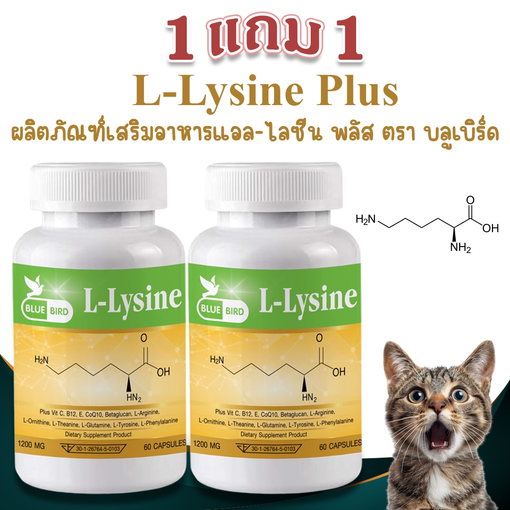[1แถม1] L-Lysine Plus แอล-ไลซีน พลัส ตรา บลูเบิร์ด 1200 มก 60 แคปซูล