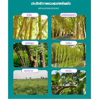 ยาฆ่าตอต้นไม้ ยาฆ่าหญ้ 500g ไม่ทำลายดิน รวดเร็ว ทนนาน ผงกำจัดต้นไม้ ผงกำจัดกอไผ่ ยาฆ่าตอไม้ ยาฆ่าไม้ไผ่ ยาฆ่าต้นไม้ใหญ่