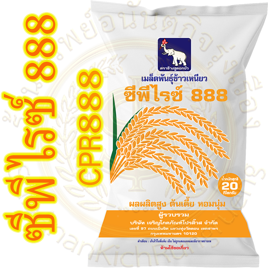 เมล็ดพันธุ์ ข้าวเหนียวหอม ซีพีไรซ์ 888 (CPR 888 ) บรรจุ 20 กก