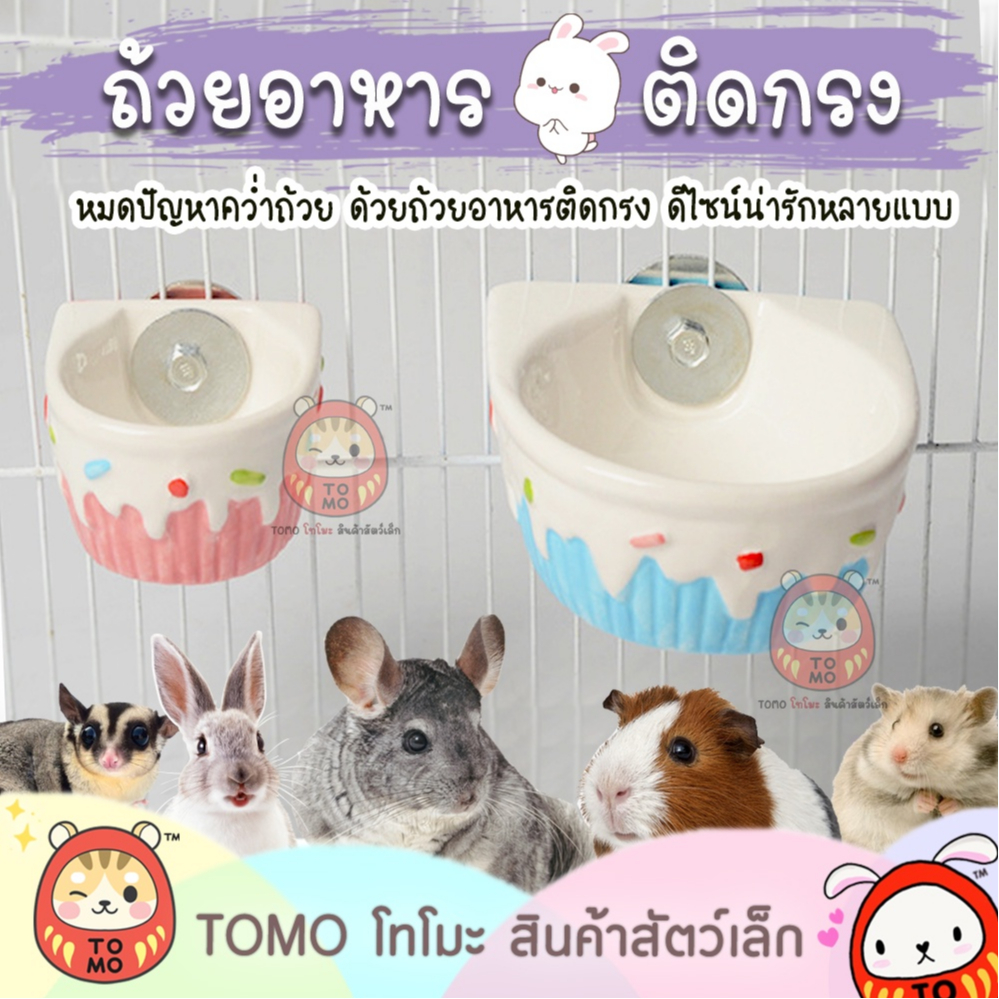 ร้านโทโมะ ถ้วยอาหาร ติดกรง ชามติดกรง เซรามิค สำหรับ ชินชิลล่า กระต่าย แกสบี้ แฮมสเตอร์