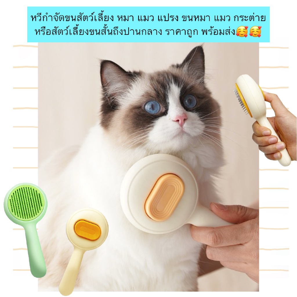 AL-640 หวีกำจัดขนสัตว์เลี้ยง หมา แมว แปรง ขนหมา แมว กระต่าย หรือสัตว์เลี้ยงขนสั้นถึงปานกลาง ราคาถูก พร้อมส่ง🥰🥰