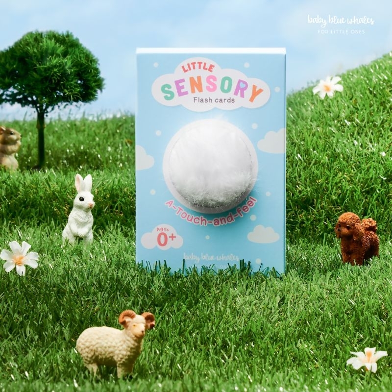 Baby Blue Whales Little Sensory Flashcards (แฟลชการ์ดขนสัตว์ กระตุ้นพัฒนาการ)