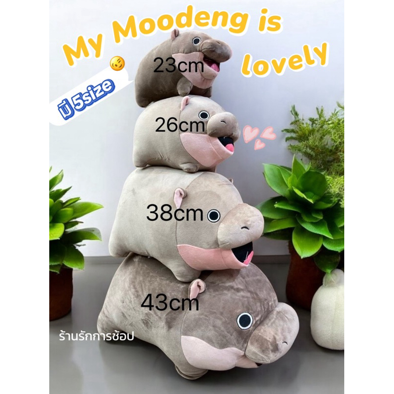 หมูเด้ง! พร้อมส่ง ตุ๊กตาน้องหมูเด้ง งานสวยมาก ตัวนุ่มๆเด้งๆ ไม่เก็บฝุ่น พร้อมส่ง 3 ขนาด 26, 38,43CM