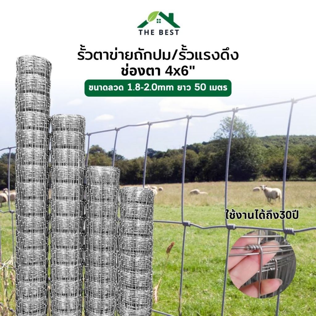 รั้วถักปม รั้วตาข่ายแรงดึง ช่องตา15cm. (50เมตร) สูง 90-150ซม. ตาข่ายถักปม ทนสนิม รั้วแพะ รั้วแกะ ลวดล้อมคอกสัตว์ ล้อมวัว