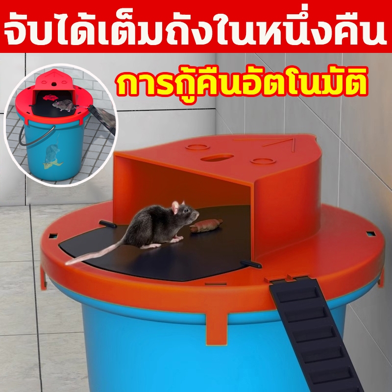 หนูหายไปแล้ว ที่ดักหนู กับดักหนู ถังดักหนู กรงดักหนู ง่ายต่อการติดตั้งและถอดออกได้ มีประสิทธิภาพถูกสุขลักษณะและปลอดภัย