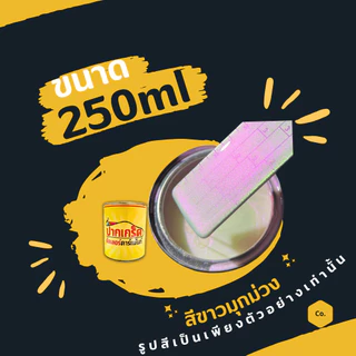 สีพ่นรถยนต์ 2K สีขาว สีขาวประกายมุกม่วง สีขาวมุกม่วง มีเกร็ดมุกให้เลือก มีทั้งแบบสเปรย์และใส่กาพ่น