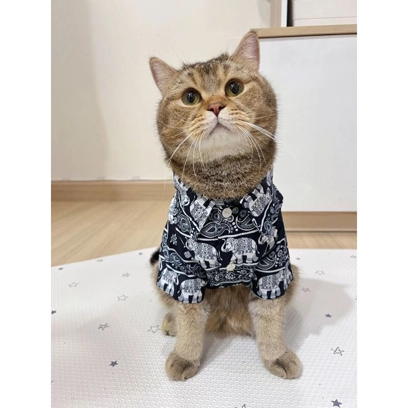เสื้อเชิ๊ตหมาแมวลายช้าง