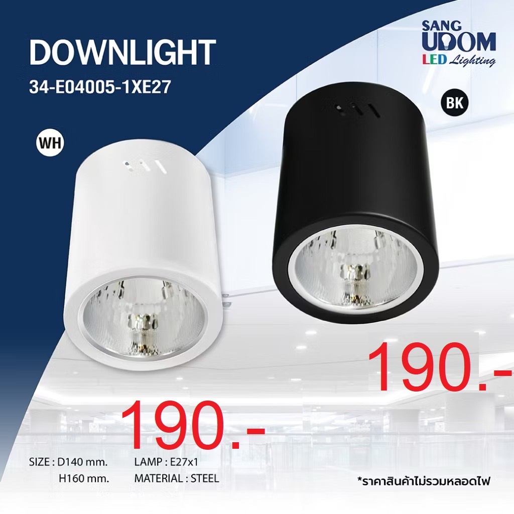 โคมไฟดาวน์ไลท์ติดลอย ทรงกลมขนาดเล็ก มีเลือก 2 สี By SANGUDOM (34-E04005)
