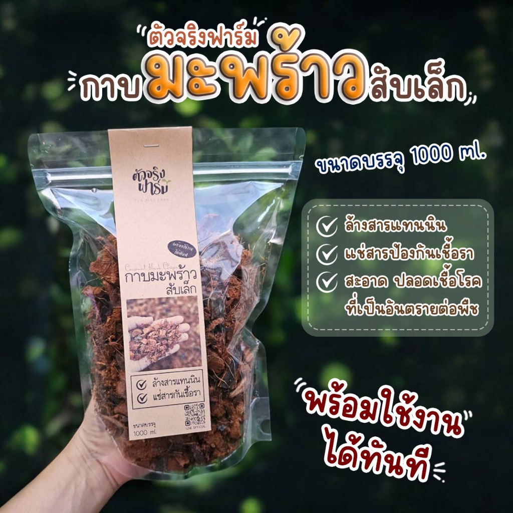 กาบมะพร้าวสับเล็ก ล้างสารแทนนินแล้ว แช่สารป้องกันเชื้อรา