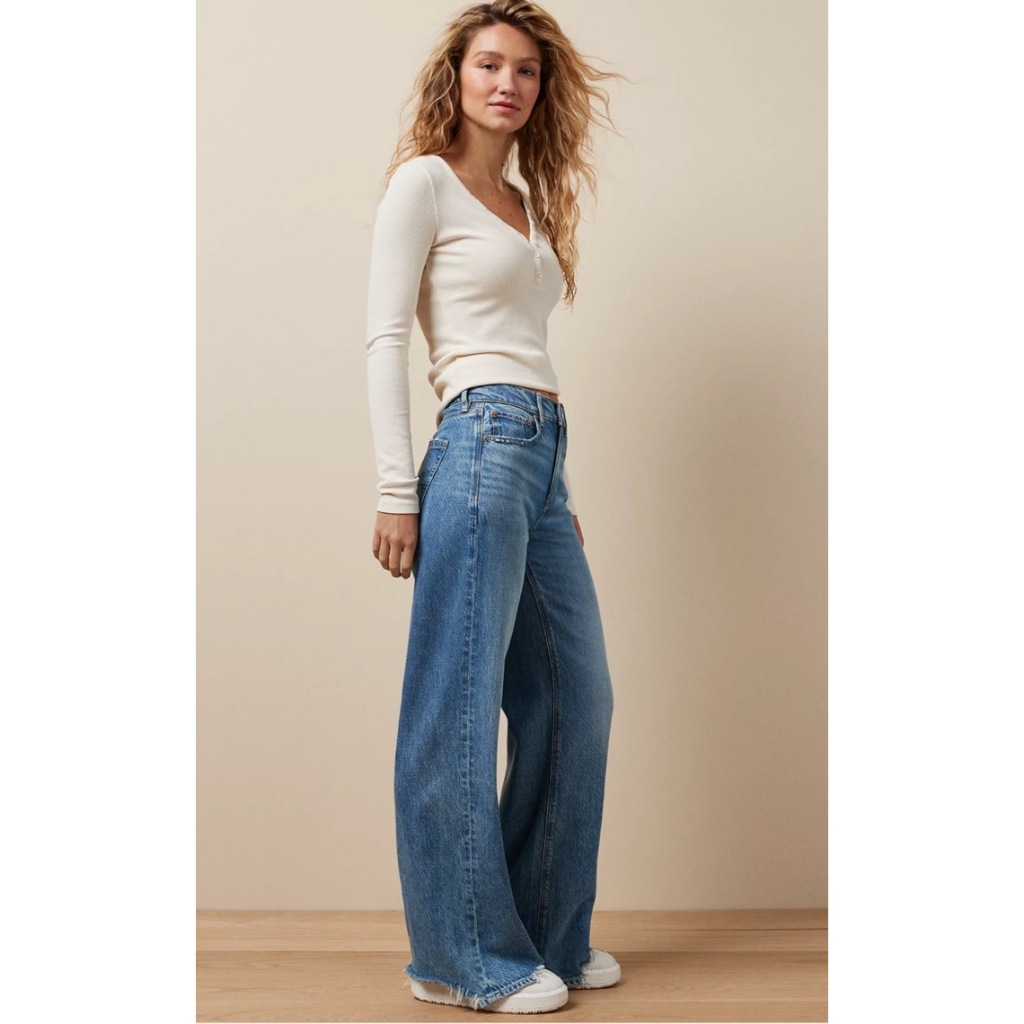 American Eagle Baggy Wide Leg
