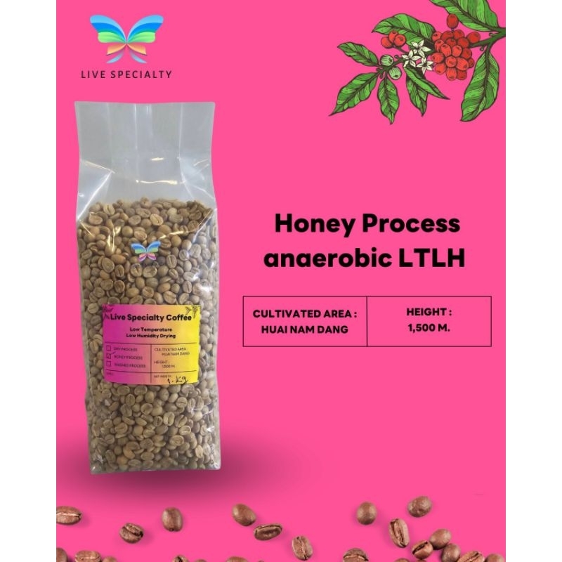 Honey process anaerobic LTLH
