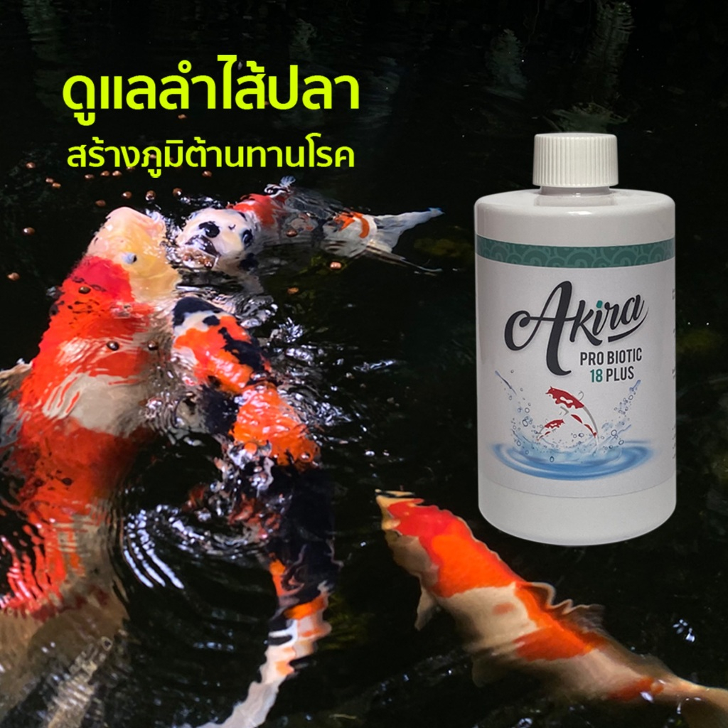 อาหารปลาคาร์ฟ จุลินทรีย์ โปรไบโอติก 18 พลัส Akira Pro Biotic 18 plus *สร้างภูมิคุ้มกัน ดูแลระบบลำไส้