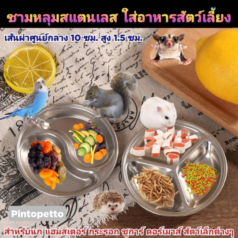 ชามหลุมสแตนเลสสำหรับสัตว์เลี้ยง ขนาด 10 ซม.