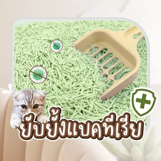 [ 20 L ] Kasty Tofu แคสตี้ ทรายแมวเต้าหู้ ธรรมชาติ 100% ขนาด 20 ลิตร ทิ้งชักโครกได้ Original ชาเขียว