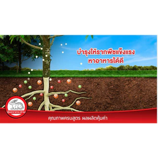 (ของแท้100%) ปุ๋ยตรากระต่าย สูตร 9-25-25 แบ่งขาย 1 กิโลกรัม