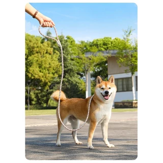 สายจูงสุนัข 🐶 สำหรับพันธุ์กลาง-ใหญ่ 🌈 มีหลายสี หลายไซส์ สายจูงหมา จูงสัตว์เลี้ยง ดีไซน์สวยมาก ✨