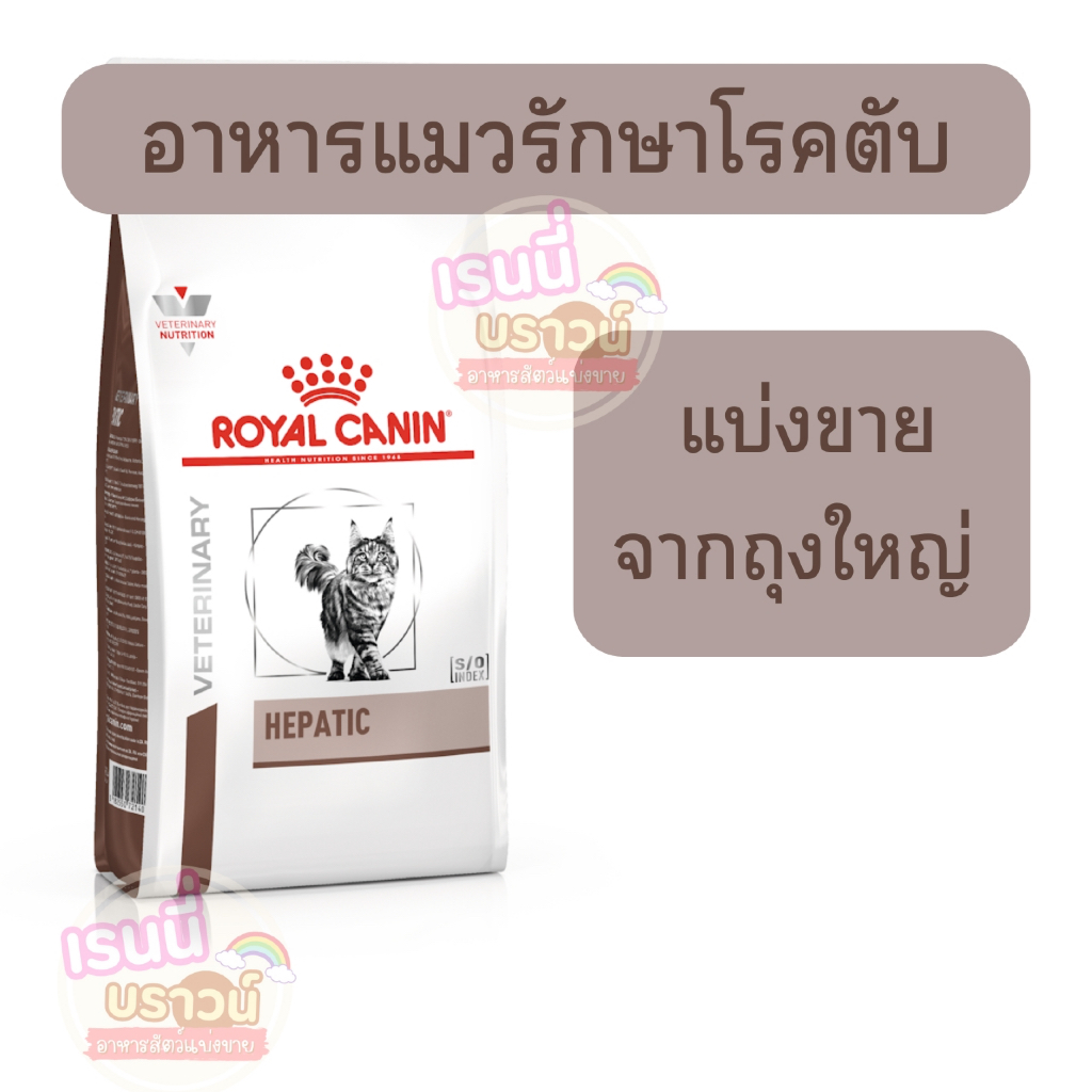Royal Canin Hepatic อาหารแมวโรคตับ: ดูแลตับและท่อน้ำดีอย่างตรงจุด