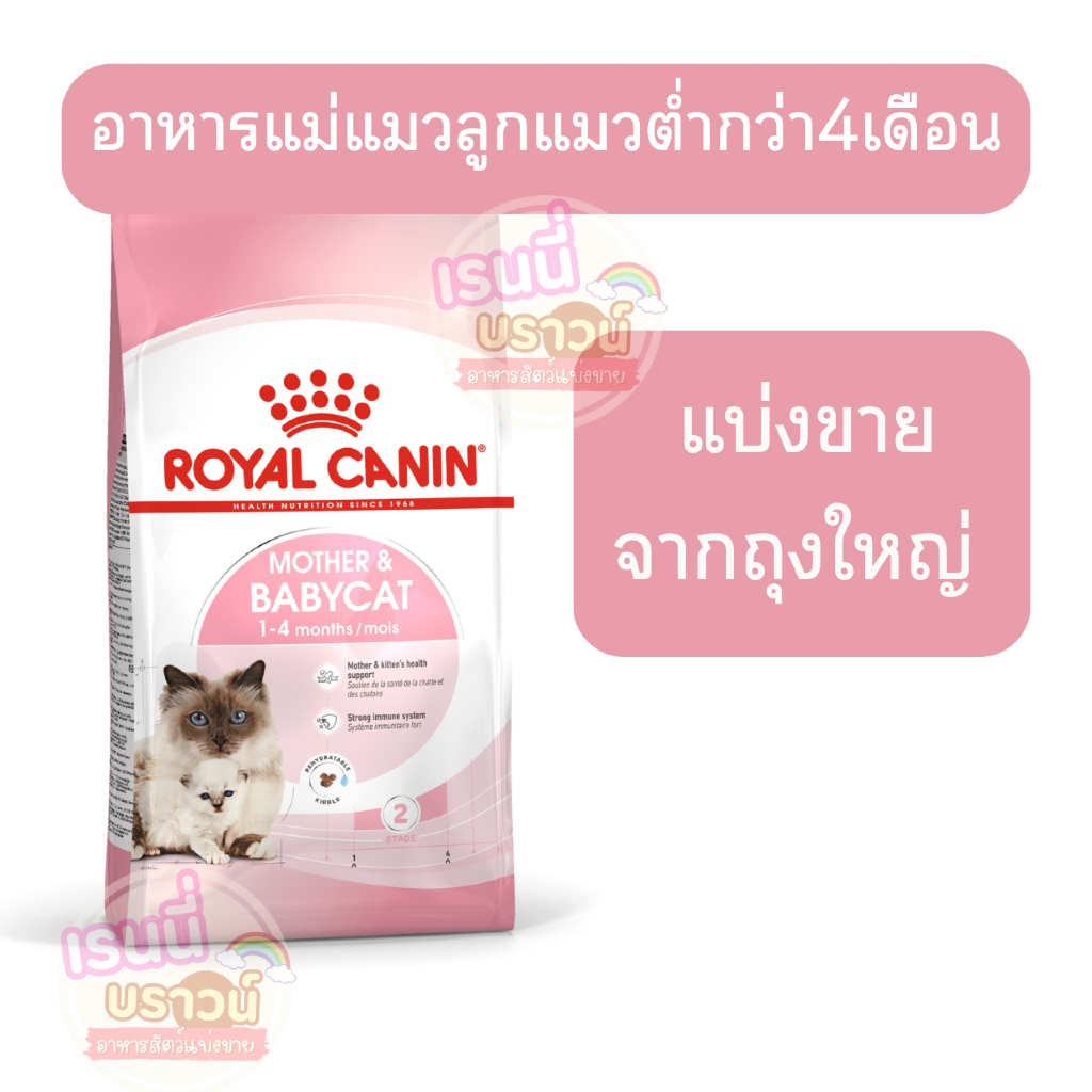 Royal Canin Mother & Babycat รีวิว: อาหารเสริมภูมิคุ้มกันแม่แมวและลูกแมว