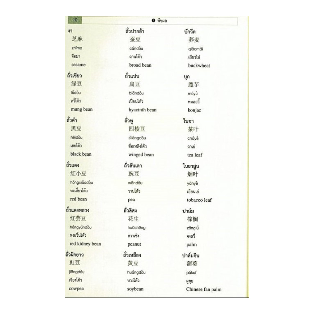 สำนักพิมพ์ เช็ก หนังสือ 4,000  คำศัพท์ใช้บ่อย 3 ภาษา ไทย- จีนกลาง-อังกฤษ - รูปที่ 5