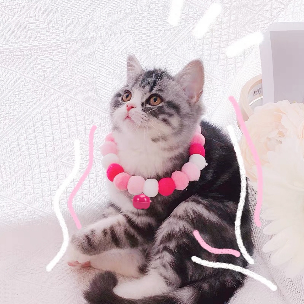 รูปภาพ 7