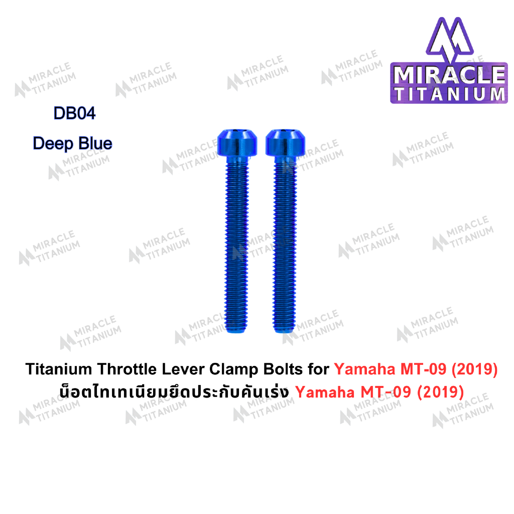 Yamaha MT-09 (2019) Titanium Throttle Lever Clamp Bolts น็อตยึดประกับเร่ง ไทเทเนียม