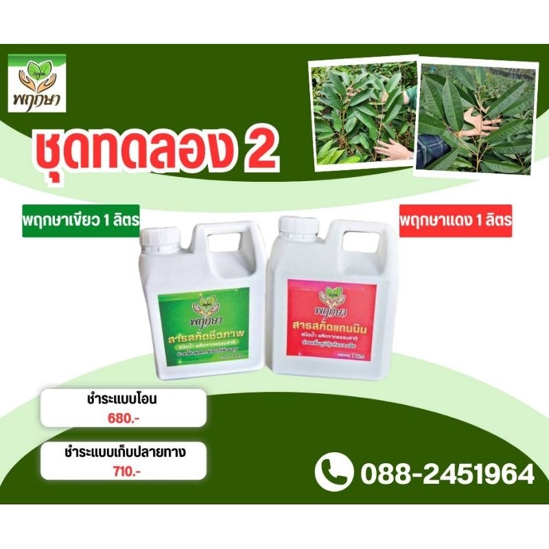 ปุ๋ยเร่งการแตกยอดพฤกษาเขียว/พฤกษาแดงสูตรเข้มข้นสามารถคุมโรคและรักษาโรคราพืชสูตรบำรุง ใบ.ต้น.ราก.แบบแพ็คคู่