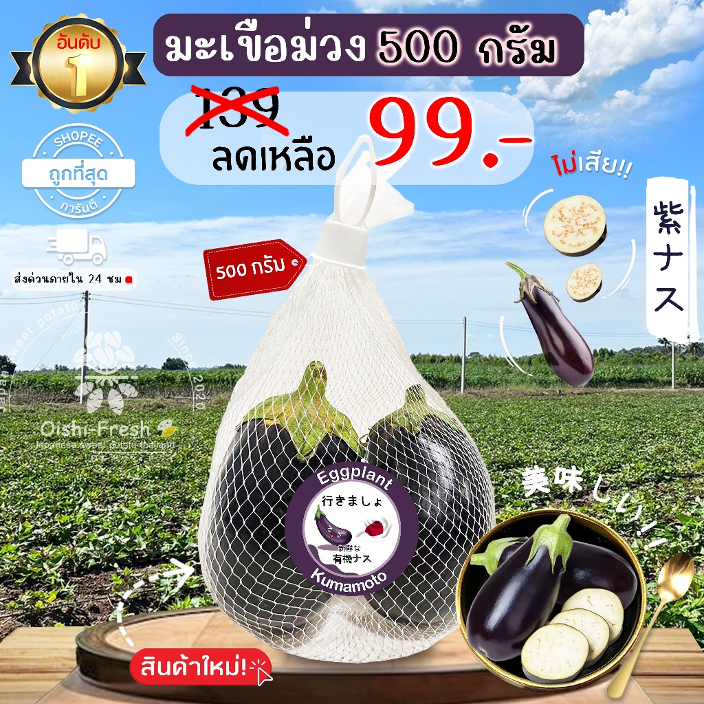 มะเขือม่วง ปลอดสารพิษ 500 ก. รสชาติกรอบ สด ใหม่ ใยอาหารสูง หวานออร์แกนิด เคลมได้ 1-2 วัน