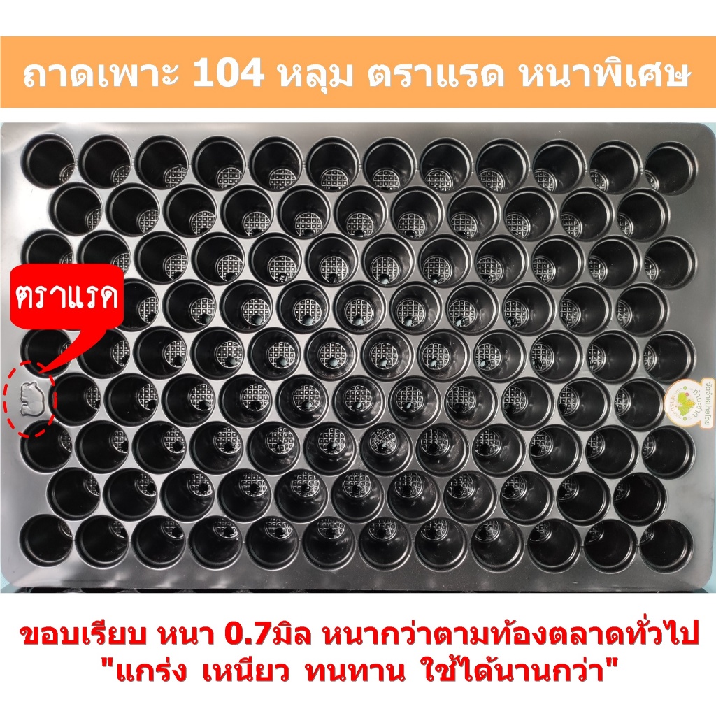 [5ถาด] ถาดเพาะ 60หลุม 104หลุม 105หลุม ตราแรด หนาพิเศษ แกร่ง เหนียว ทนทาน ใช้งานได้นานกว่า หนากว่าถาดเพาะทั่วไปตามท้องตลา