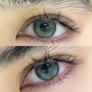 MILL CREEK Color Contact Lens คอนแทคเลนส์ สีเขียว Green/Grey 14.2mm 0.00~-8.00องศา 12 เดือน ใส่สบาย คอน