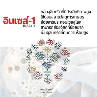 อินเซส์ -1 จุลินทรีย์ใช้ทำปุ๋ยหมัก 1 ตัน ย่อยวัสดุการเกษตร พืชผัก เศษกิ่งไม้ 100 กรัม