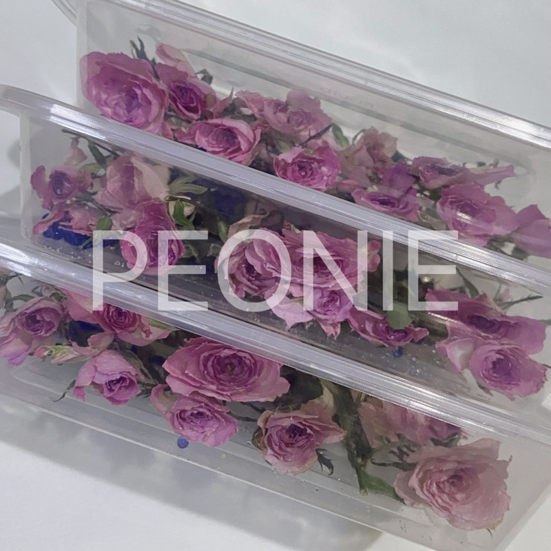 พร้อมส่ง กุหลาบอบแห้ง กุหลาบใช้ตกแต่งDIY ใส่กล่องของขวัญ ของที่ระลึก งานขึ้นรูปเรซิ่นตัวอักษร