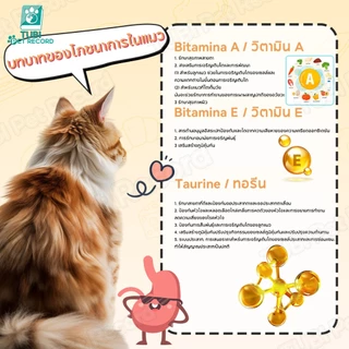 TUBI ชีสอาหารเปียกแมว 450g อาหารแมวกระป๋อง ปลาทูน่า เนื้อไก่ หญ้าแมว น้ำมันปลา ขนมแมวแมวน่ารักทาสแมว