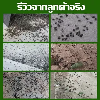 ยาไล่ยุงคอกวัว กำจัดแมลงวัน ยุง เห็บ มด เหา หมัด แมลง อัตราการฆ่า100% ยาไล่แมลงในวัว ฉีดในคอกสัตว์ได้ ไม่เป็น