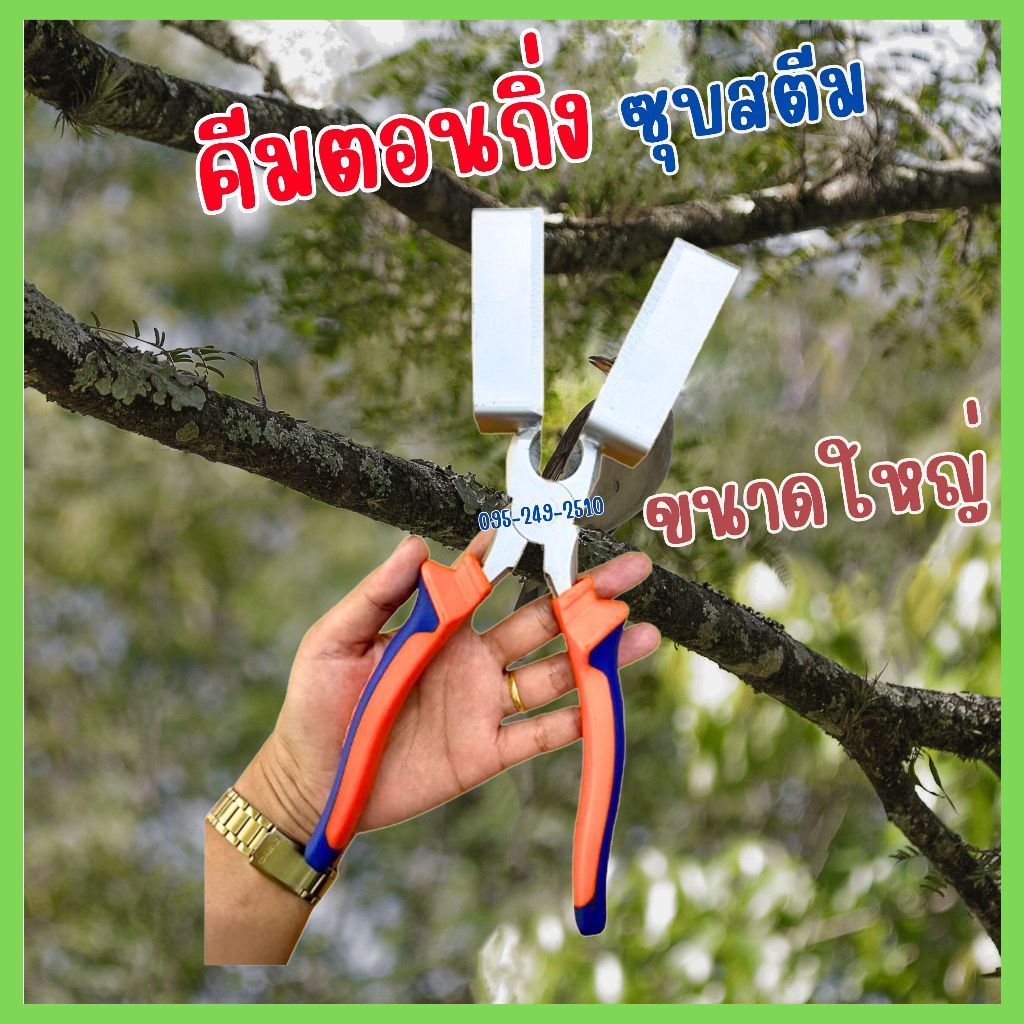 คีมตอนกิ่ง กรรไกรตอนกิ่ง ขนาดใหญ่ 8 นิ้ว ซุบสตีม สินค้าพร้อมส่ง