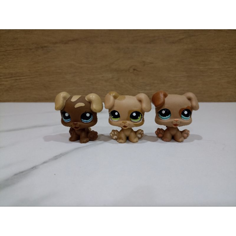 ตัวเล่น lps ของแท้ #littlest pet shop#lps