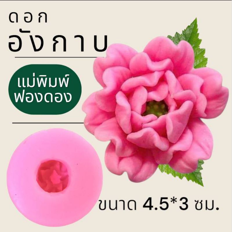 แม่พิมพ์ฟองดอง สำหรับทำขนมวุ้น ขนมต่างๆรูป ดอกอังกาบ