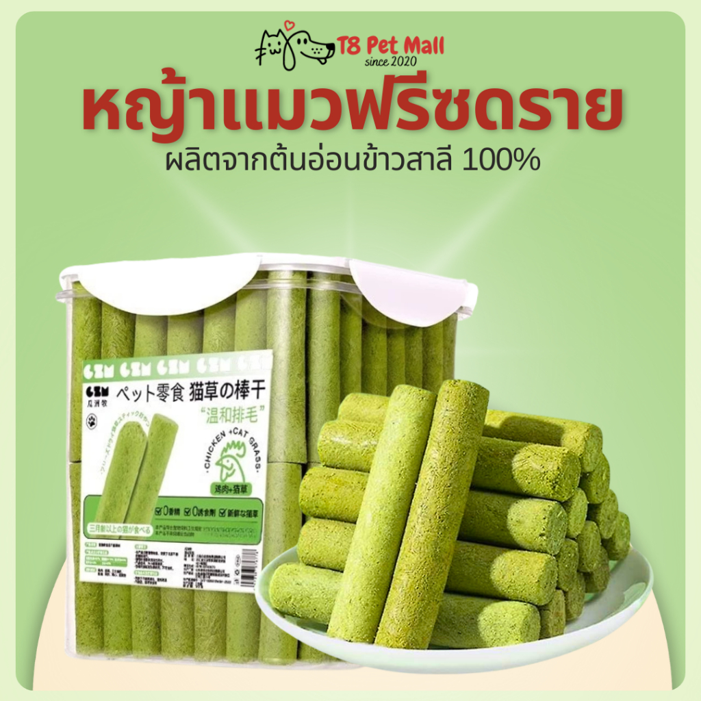 T8 หญ้าแมวฟรีซดรายแบบแท่ง 60แท่ง คุ้มสุด ช่วยขัดฟัน เพื่อกำจัดก้อนขน ผลิตจากต้นอ่อนข้าวสาลี ขนมหญ้าแมว