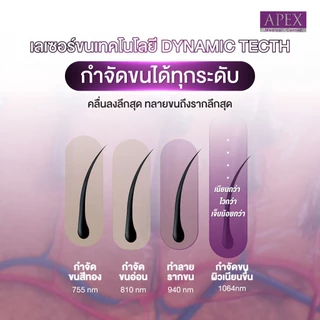 [E-Voucher] APEX เลเซอร์กำจัดขน กำจัดขนน้องสาว Whole Bikini 1ครั้ง (เฉพาะลูกค้าใหม่)