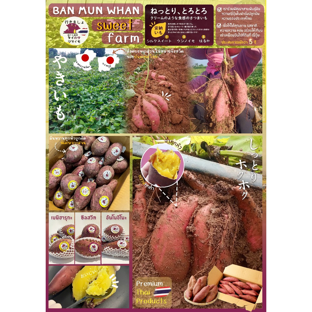 รูปภาพ 2