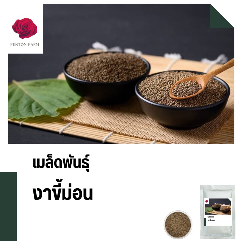 เมล็ดพันธุ์งาขี้ม้อน บรรจุ 1,000 เมล็ด คัดพิเศษ