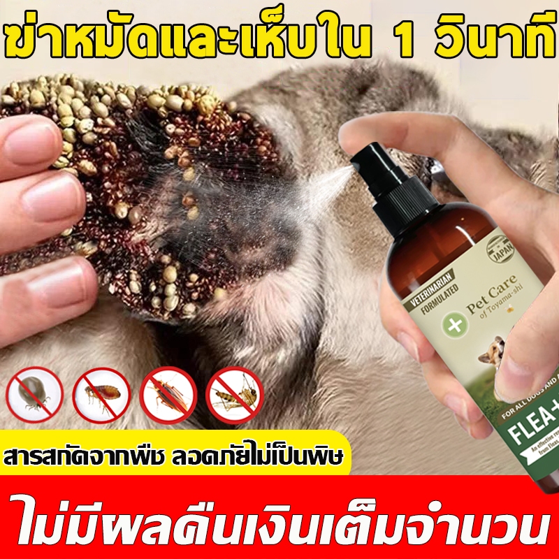 ฆ่าหมัดใน1วินาที กำจัดเห็บและหมัด กำจัดหมัดหมา กำจัดเห็บหมัด กำจัดหมัดแมว สูตรพืช ปลอดภัย สากลสำหรับสุนัขและแมว