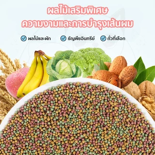QQPET อาหารสำหรับนก 900g อาหารนกแก้ว อาหารนกผสม ผสมธัญพืช มีคุณค่าทางอาหาร